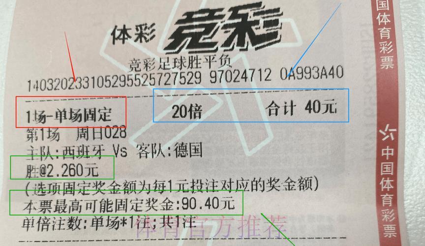 世界杯彩票投注技巧深度解读与全面指南 世界杯彩票投注技巧深度解读与全面指南